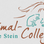 Animal College - Nicole Stein