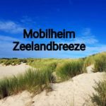 Hundefreundliche Unterkünfte in Zeeland/Holland bei Martina und Mike